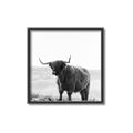 Picture of Scottish Fields Highland B&W _GroupedProduct_Square_Photography _GroupedProduct_Square_Canvas_Framed_