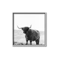 Picture of Scottish Fields Highland B&W _GroupedProduct_Square_Photography _GroupedProduct_Square_Canvas_Framed_