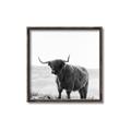 Picture of Scottish Fields Highland B&W _GroupedProduct_Square_Photography _GroupedProduct_Square_Canvas_Framed_