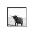 Picture of Scottish Fields Highland B&W _GroupedProduct_Square_Photography _GroupedProduct_Square_Canvas_Framed_