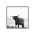 Picture of Scottish Fields Highland B&W _GroupedProduct_Square_Photography _GroupedProduct_Square_Canvas_Framed_