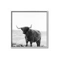 Picture of Scottish Fields Highland B&W _GroupedProduct_Square_Photography _GroupedProduct_Square_Canvas_Framed_