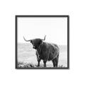 Picture of Scottish Fields Highland B&W _GroupedProduct_Square_Photography _GroupedProduct_Square_Canvas_Framed_