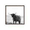 Picture of Scottish Fields Highland B&W _GroupedProduct_Square_Photography _GroupedProduct_Square_Canvas_Framed_