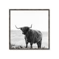 Picture of Scottish Fields Highland B&W _GroupedProduct_Square_Photography _GroupedProduct_Square_Canvas_Framed_