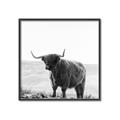 Picture of Scottish Fields Highland B&W _GroupedProduct_Square_Photography _GroupedProduct_Square_Canvas_Framed_