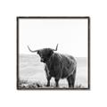 Picture of Scottish Fields Highland B&W _GroupedProduct_Square_Photography _GroupedProduct_Square_Canvas_Framed_