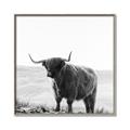 Picture of Scottish Fields Highland B&W _GroupedProduct_Square_Photography _GroupedProduct_Square_Canvas_Framed_