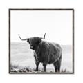 Picture of Scottish Fields Highland B&W _GroupedProduct_Square_Photography _GroupedProduct_Square_Canvas_Framed_