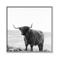 Picture of Scottish Fields Highland B&W _GroupedProduct_Square_Photography _GroupedProduct_Square_Canvas_Framed_