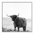 Picture of Scottish Fields Highland B&W _GroupedProduct_Square_Photography _GroupedProduct_Square_Canvas_Framed_
