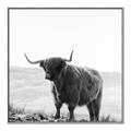 Picture of Scottish Fields Highland B&W _GroupedProduct_Square_Photography _GroupedProduct_Square_Canvas_Framed_