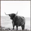 Picture of Scottish Fields Highland B&W _GroupedProduct_Square_Photography _GroupedProduct_Square_Canvas_Framed_