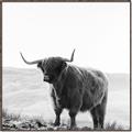 Picture of Scottish Fields Highland B&W _GroupedProduct_Square_Photography _GroupedProduct_Square_Canvas_Framed_