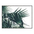 Picture of Behind the Leaves _GroupedProduct_Rectangle_Landscape_Photography _GroupedProduct_Rectangle_Landscape_Canvas_Framed_