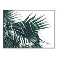 Picture of Behind the Leaves _GroupedProduct_Rectangle_Landscape_Photography _GroupedProduct_Rectangle_Landscape_Canvas_Framed_