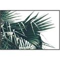 Picture of Behind the Leaves _GroupedProduct_Rectangle_Landscape_Photography _GroupedProduct_Rectangle_Landscape_Canvas_Framed_