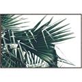 Picture of Behind the Leaves _GroupedProduct_Rectangle_Landscape_Photography _GroupedProduct_Rectangle_Landscape_Canvas_Framed_