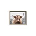 Picture of Hairy Brown _GroupedProduct_Rectangle_Landscape_Photography _GroupedProduct_Rectangle_Landscape_Canvas_Framed_