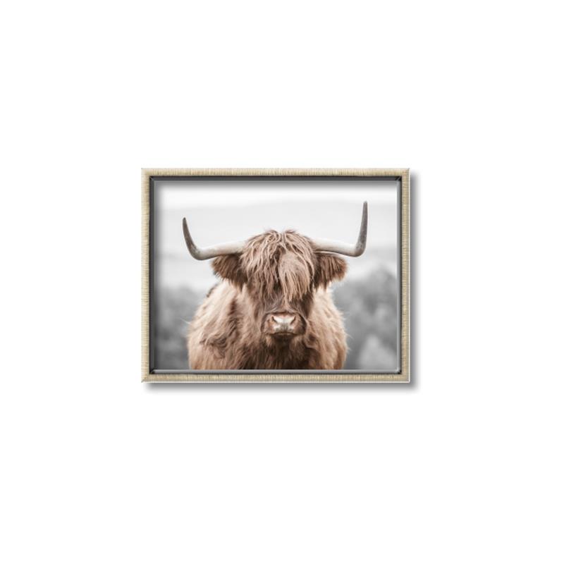 Picture of Hairy Brown _GroupedProduct_Rectangle_Landscape_Photography _GroupedProduct_Rectangle_Landscape_Canvas_Framed_