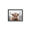Picture of Hairy Brown _GroupedProduct_Rectangle_Landscape_Photography _GroupedProduct_Rectangle_Landscape_Canvas_Framed_