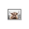 Picture of Hairy Brown _GroupedProduct_Rectangle_Landscape_Photography _GroupedProduct_Rectangle_Landscape_Canvas_Framed_