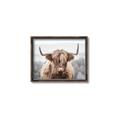 Picture of Hairy Brown _GroupedProduct_Rectangle_Landscape_Photography _GroupedProduct_Rectangle_Landscape_Canvas_Framed_