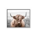 Picture of Hairy Brown _GroupedProduct_Rectangle_Landscape_Photography _GroupedProduct_Rectangle_Landscape_Canvas_Framed_