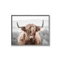 Picture of Hairy Brown _GroupedProduct_Rectangle_Landscape_Photography _GroupedProduct_Rectangle_Landscape_Canvas_Framed_