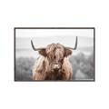 Picture of Hairy Brown _GroupedProduct_Rectangle_Landscape_Photography _GroupedProduct_Rectangle_Landscape_Canvas_Framed_