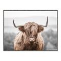 Picture of Hairy Brown _GroupedProduct_Rectangle_Landscape_Photography _GroupedProduct_Rectangle_Landscape_Canvas_Framed_