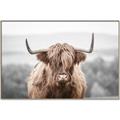 Picture of Hairy Brown _GroupedProduct_Rectangle_Landscape_Photography _GroupedProduct_Rectangle_Landscape_Canvas_Framed_