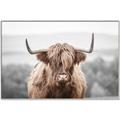 Picture of Hairy Brown _GroupedProduct_Rectangle_Landscape_Photography _GroupedProduct_Rectangle_Landscape_Canvas_Framed_