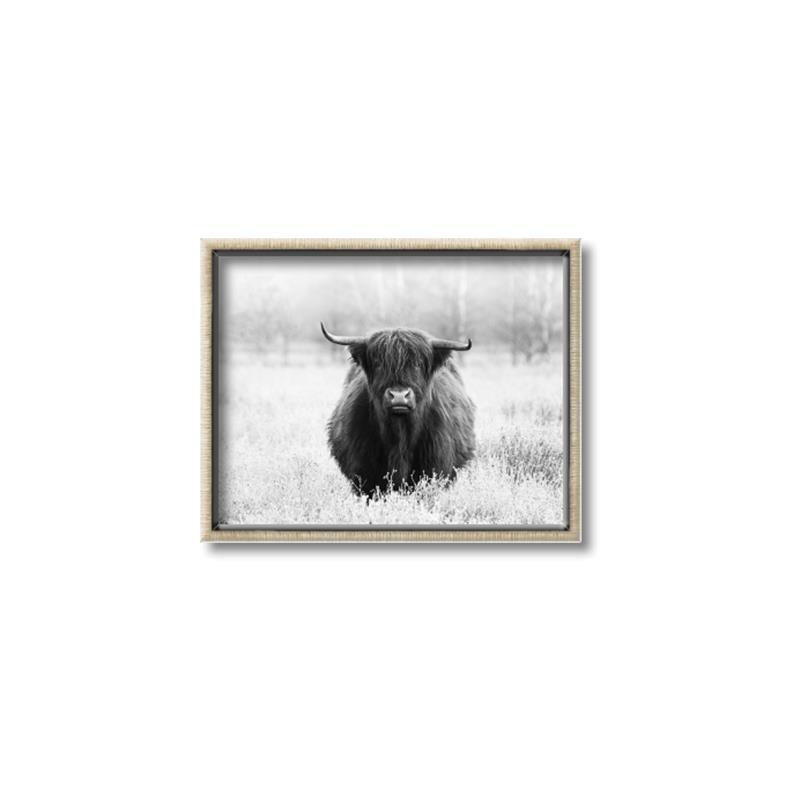 Picture of Hiding in the Grass _GroupedProduct_Rectangle_Landscape_Photography _GroupedProduct_Rectangle_Landscape_Canvas_Framed_