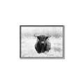 Picture of Hiding in the Grass _GroupedProduct_Rectangle_Landscape_Photography _GroupedProduct_Rectangle_Landscape_Canvas_Framed_