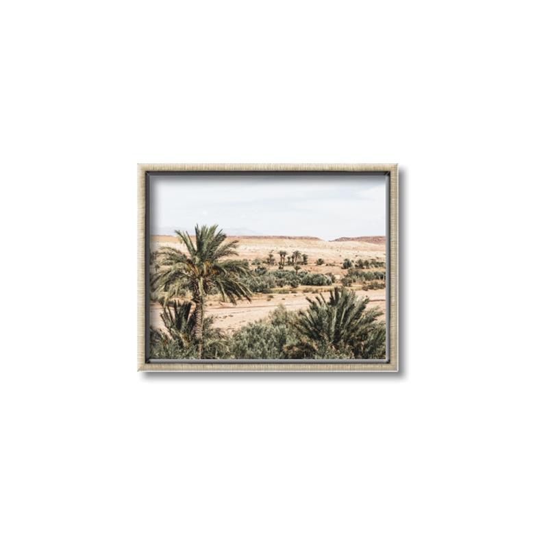 Picture of Desert Greens _GroupedProduct_Rectangle_Landscape_Photography _GroupedProduct_Rectangle_Landscape_Canvas_Framed_