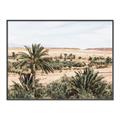 Picture of Desert Greens _GroupedProduct_Rectangle_Landscape_Photography _GroupedProduct_Rectangle_Landscape_Canvas_Framed_
