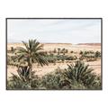 Picture of Desert Greens _GroupedProduct_Rectangle_Landscape_Photography _GroupedProduct_Rectangle_Landscape_Canvas_Framed_