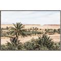 Picture of Desert Greens _GroupedProduct_Rectangle_Landscape_Photography _GroupedProduct_Rectangle_Landscape_Canvas_Framed_