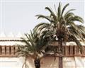 Picture of Wall with Palm Tree _GroupedProduct_Rectangle_Landscape_Photography _GroupedProduct_Rectangle_Landscape_Unframed_Print_Only_