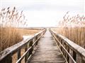 Picture of A Wooden Bridge _GroupedProduct_Rectangle_Landscape_Photography _GroupedProduct_Rectangle_Landscape_Unframed_Print_Only_