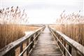 Picture of A Wooden Bridge _GroupedProduct_Rectangle_Landscape_Photography _GroupedProduct_Rectangle_Landscape_Unframed_Print_Only_