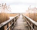Picture of A Wooden Bridge _GroupedProduct_Rectangle_Landscape_Photography _GroupedProduct_Rectangle_Landscape_Unframed_Print_Only_