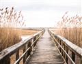 Picture of A Wooden Bridge _GroupedProduct_Rectangle_Landscape_Photography _GroupedProduct_Rectangle_Landscape_Unframed_Print_Only_