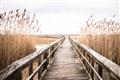Picture of A Wooden Bridge _GroupedProduct_Rectangle_Landscape_Photography _GroupedProduct_Rectangle_Landscape_Unframed_Print_Only_