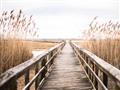 Picture of A Wooden Bridge _GroupedProduct_Rectangle_Landscape_Photography _GroupedProduct_Rectangle_Landscape_Unframed_Print_Only_