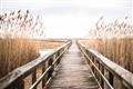 Picture of A Wooden Bridge _GroupedProduct_Rectangle_Landscape_Photography _GroupedProduct_Rectangle_Landscape_Unframed_Print_Only_
