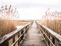 Picture of A Wooden Bridge _GroupedProduct_Rectangle_Landscape_Photography _GroupedProduct_Rectangle_Landscape_Unframed_Print_Only_
