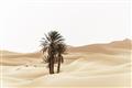 Picture of Sandy Desert  _GroupedProduct_Rectangle_Landscape_Photography _GroupedProduct_Rectangle_Landscape_Unframed_Print_Only_