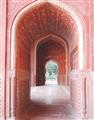Picture of Pink Architecture _GroupedProduct_Rectangle_Portrait_Photography _GroupedProduct_Rectangle_Portrait_Unframed_Print_Only_